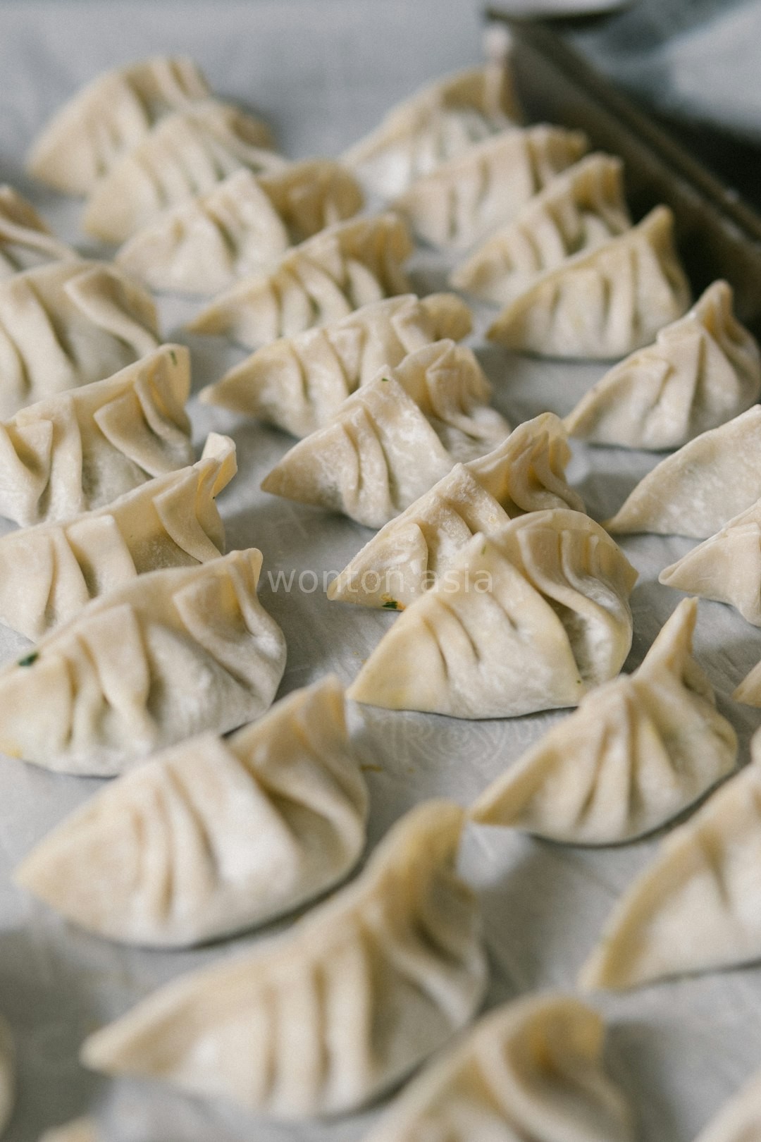 Spicy Dumplings