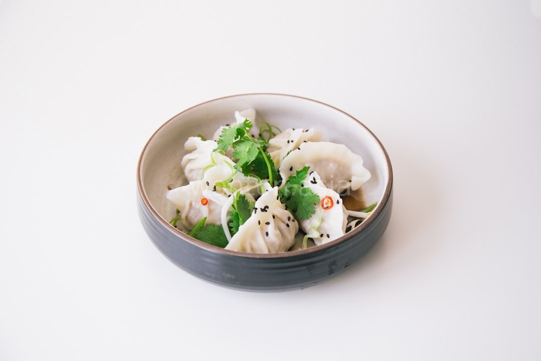 Pan Fried Dumplings