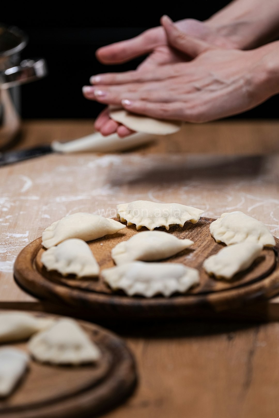 Hand-Folded Dumplings